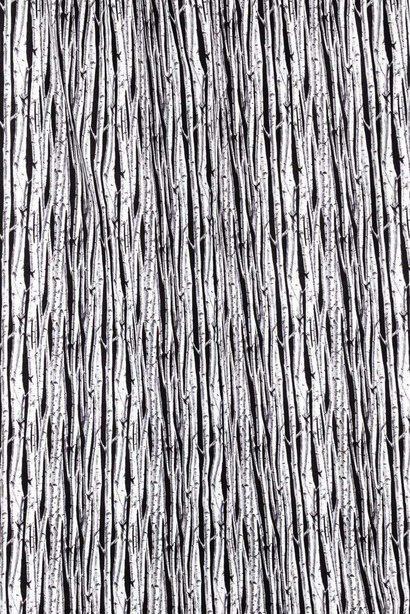 Birches Cotton Flannel Woven - Marcy Tilton Fabrics