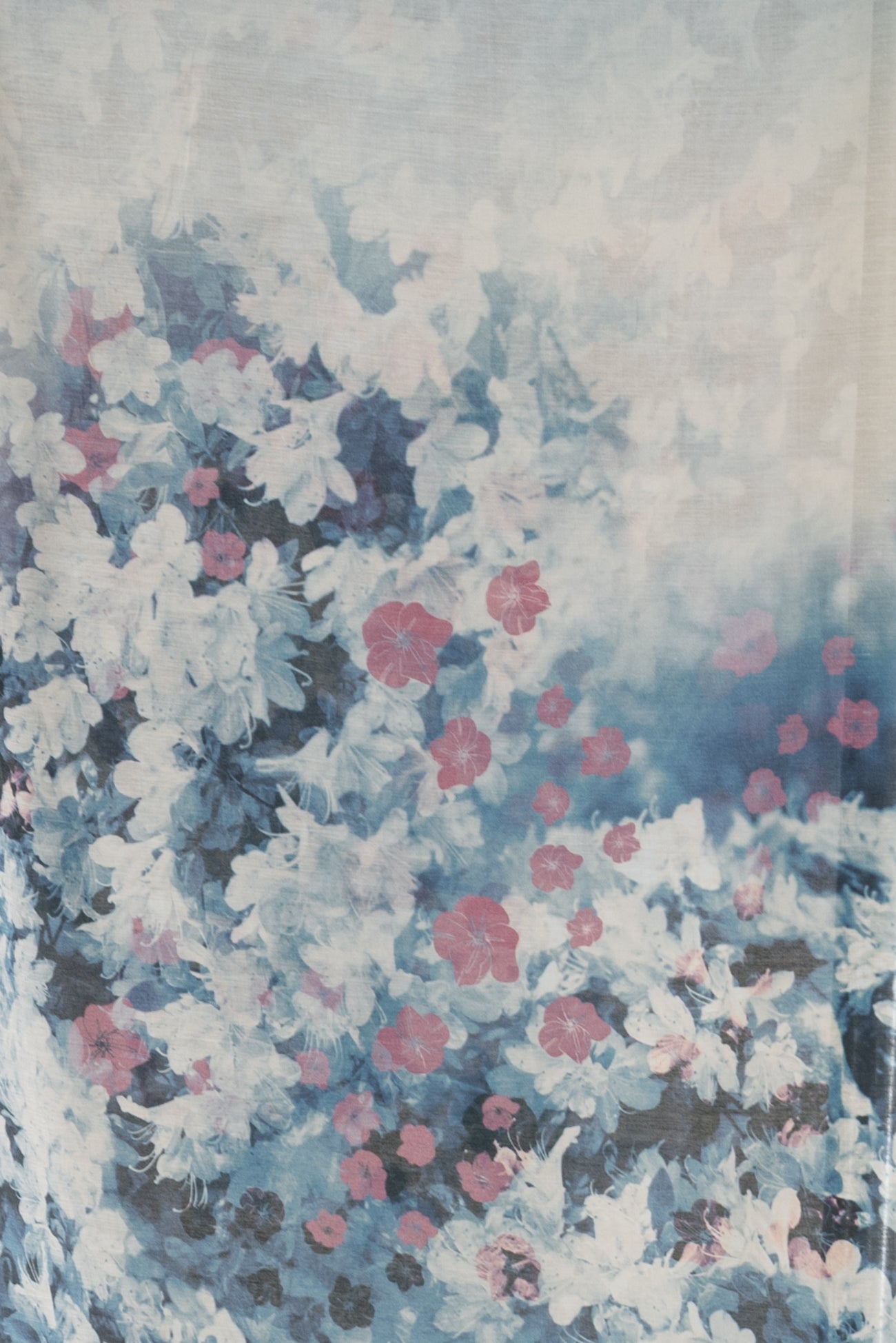 Blossom Drift Cotton/Silk Voile Woven