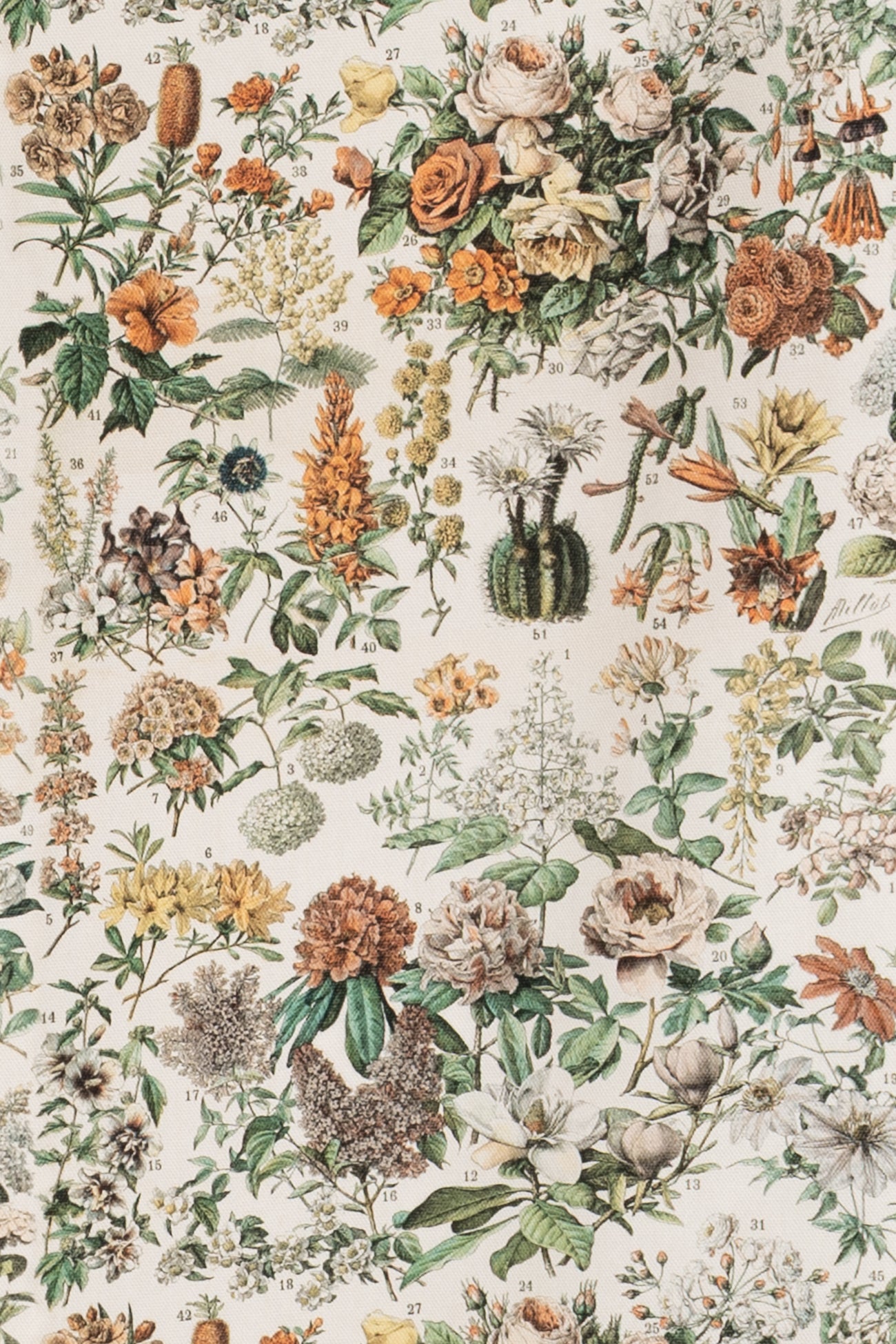 Botanica Cotton Woven