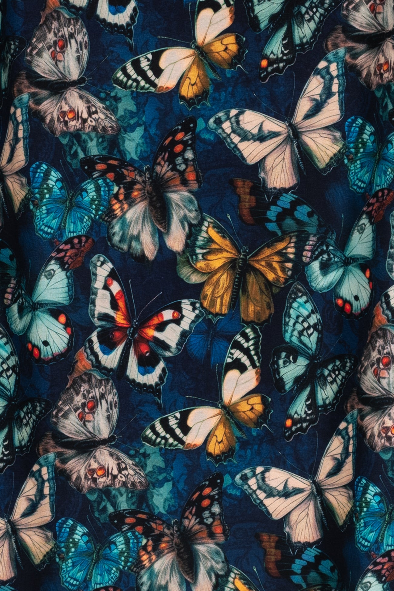 Butterfly Field Dutch Cotton Knit