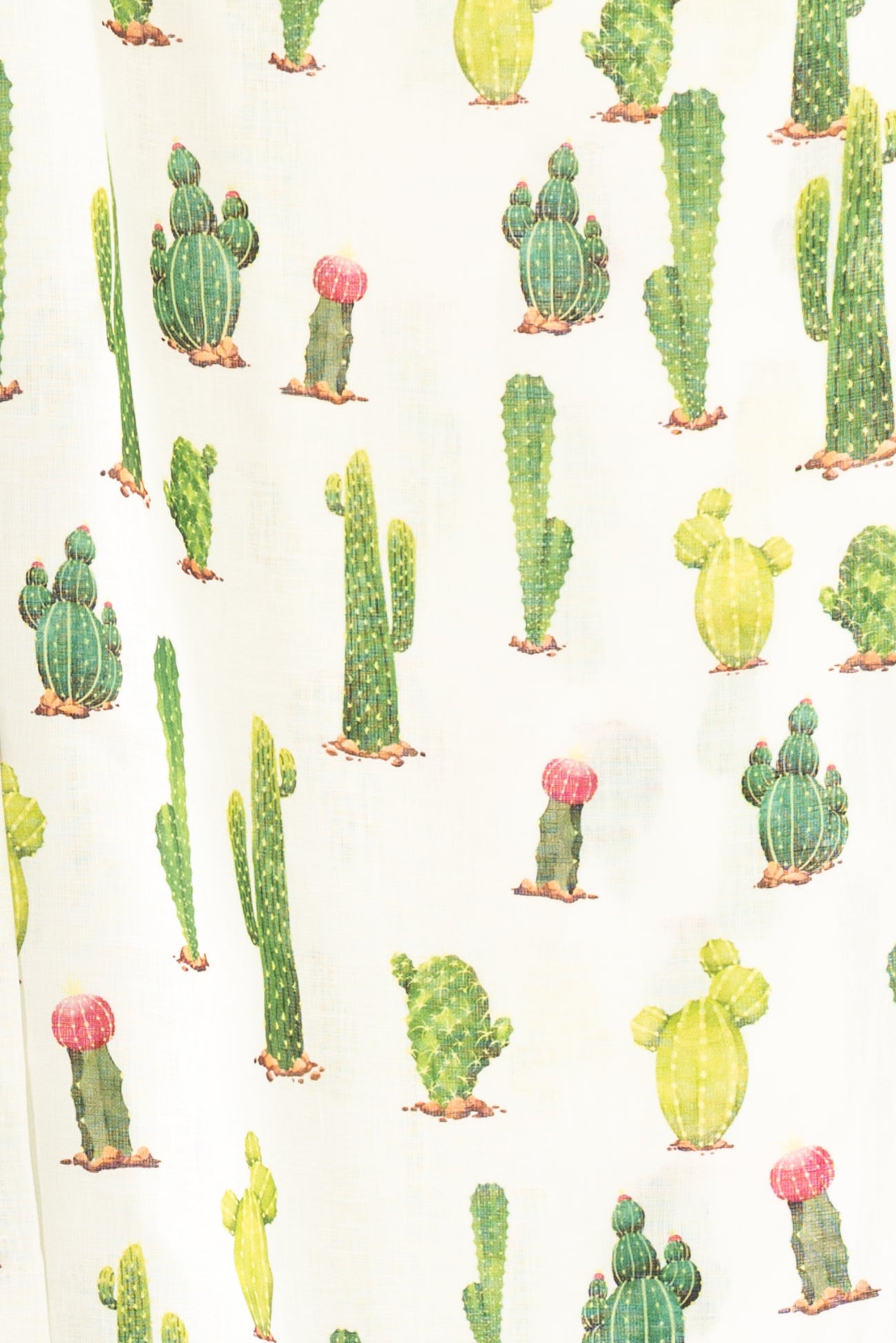 Cactus Garden Euro Linen Woven