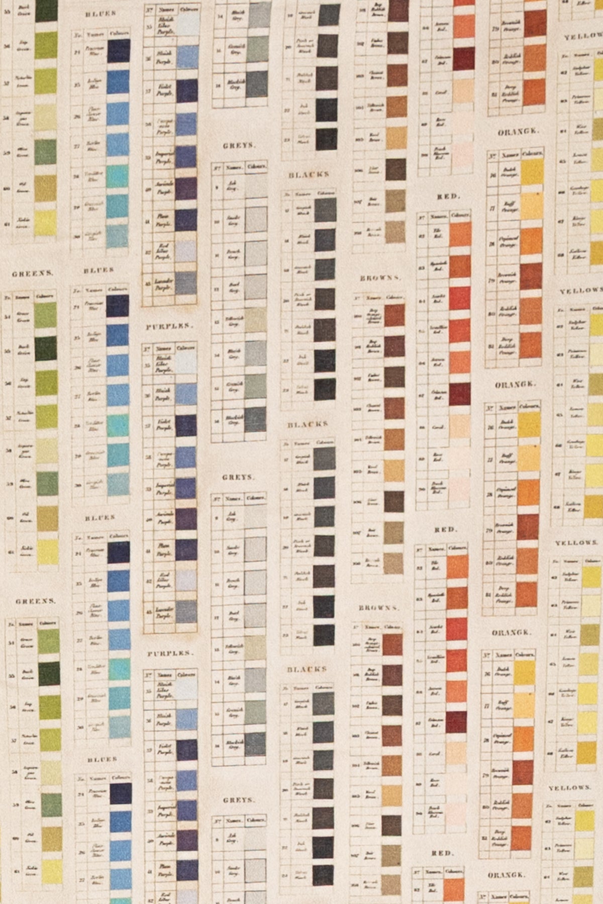 Color Card Cotton Woven