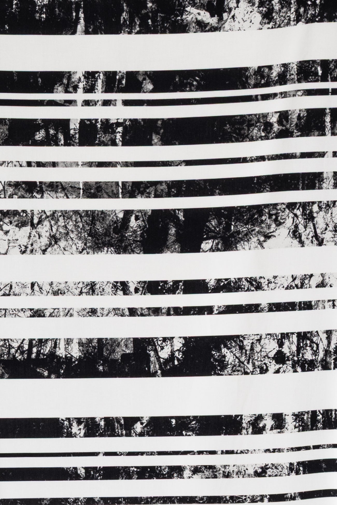 Cross Section Stripes Italian Stretch Cotton Woven