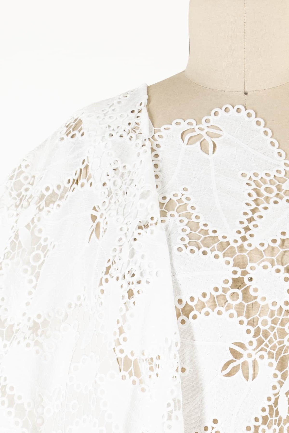 Elvina Embroidered Lace