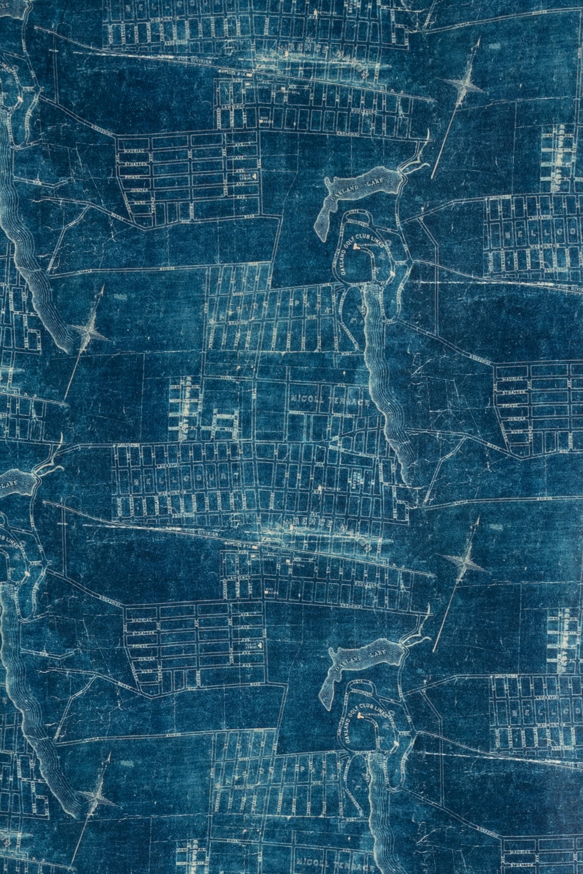 Blueprint Cotton Woven
