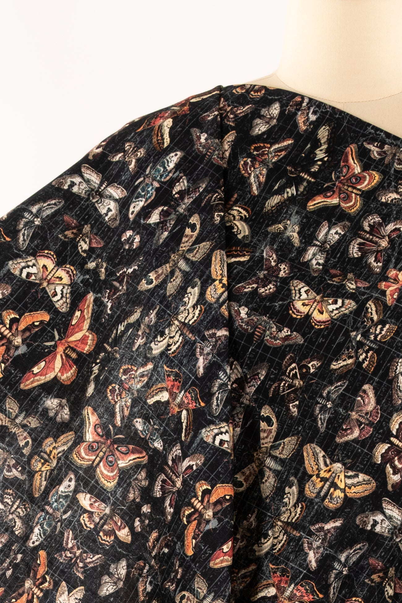 Mariposa Cotton Woven
