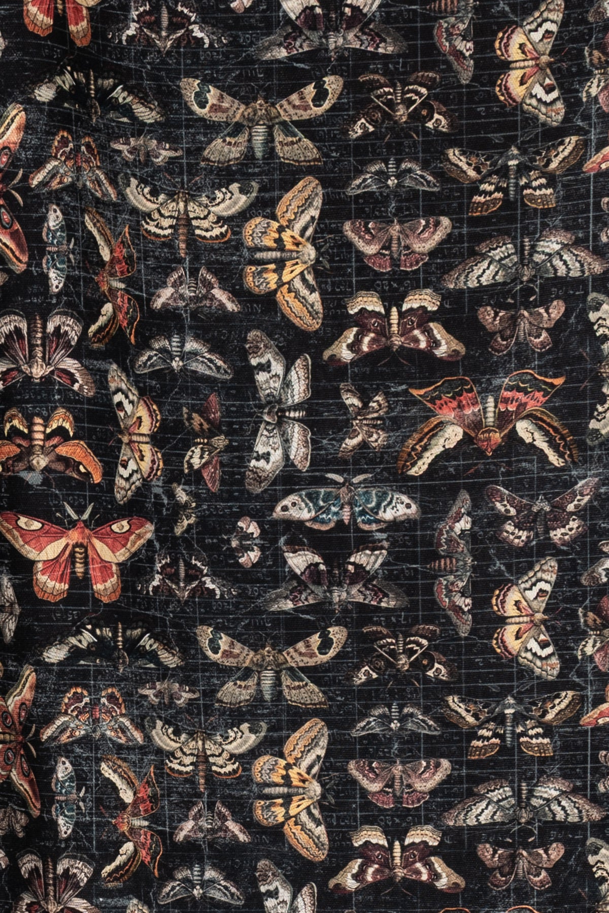 Mariposa Cotton Woven