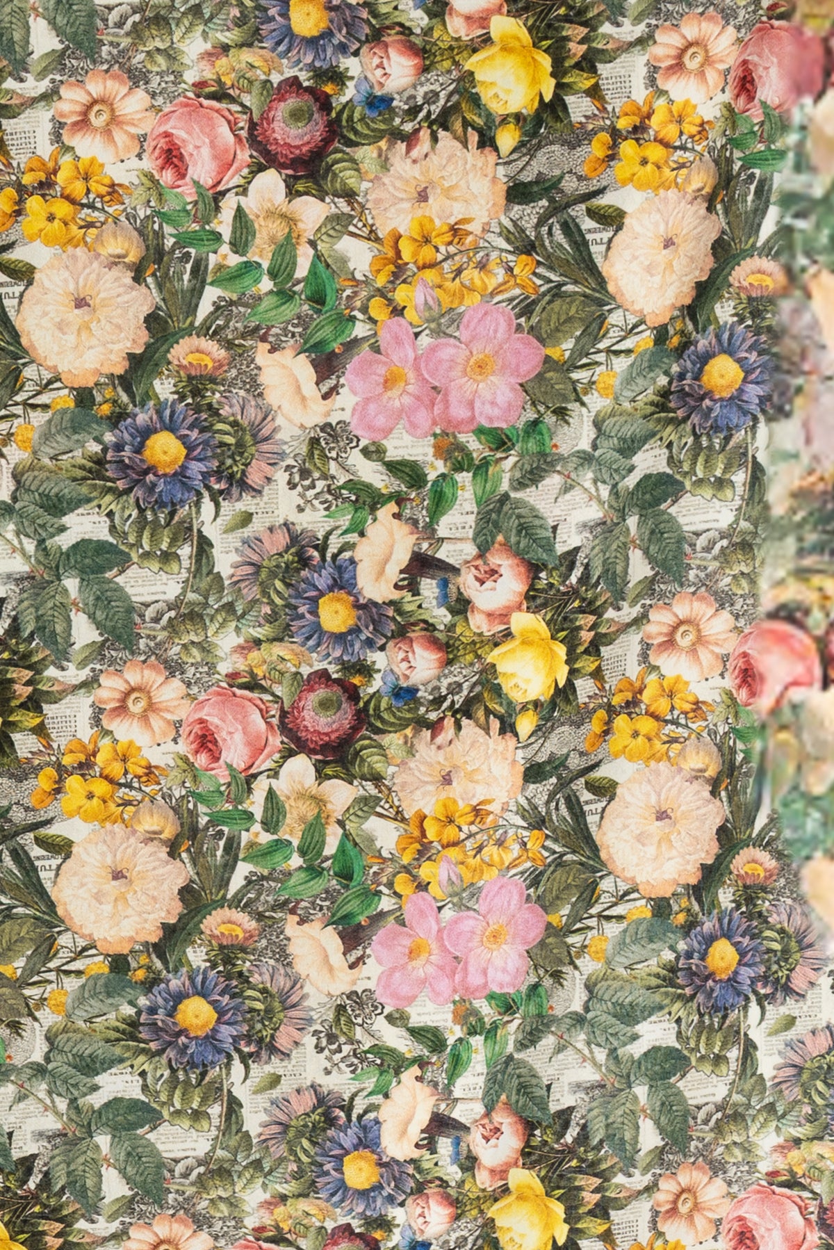 Parker Posey Cotton Woven