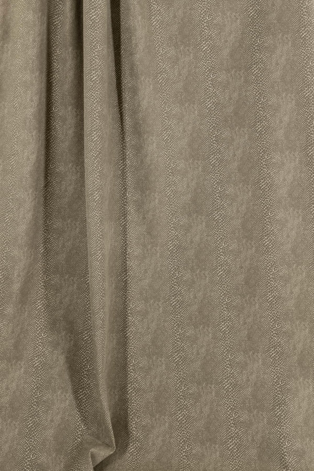 Saurus Stretch Cotton Woven - Marcy Tilton Fabrics
