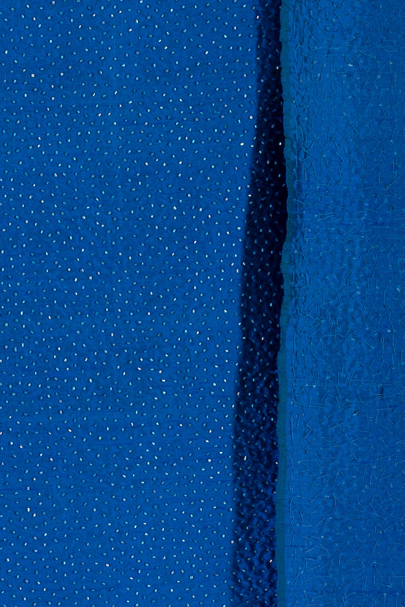 Sparkle Plenty Beaded/Embroidered Silk Dupioni Woven