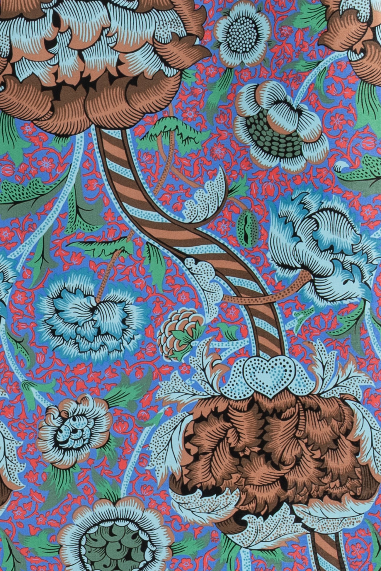 Vanessa Cotton Woven