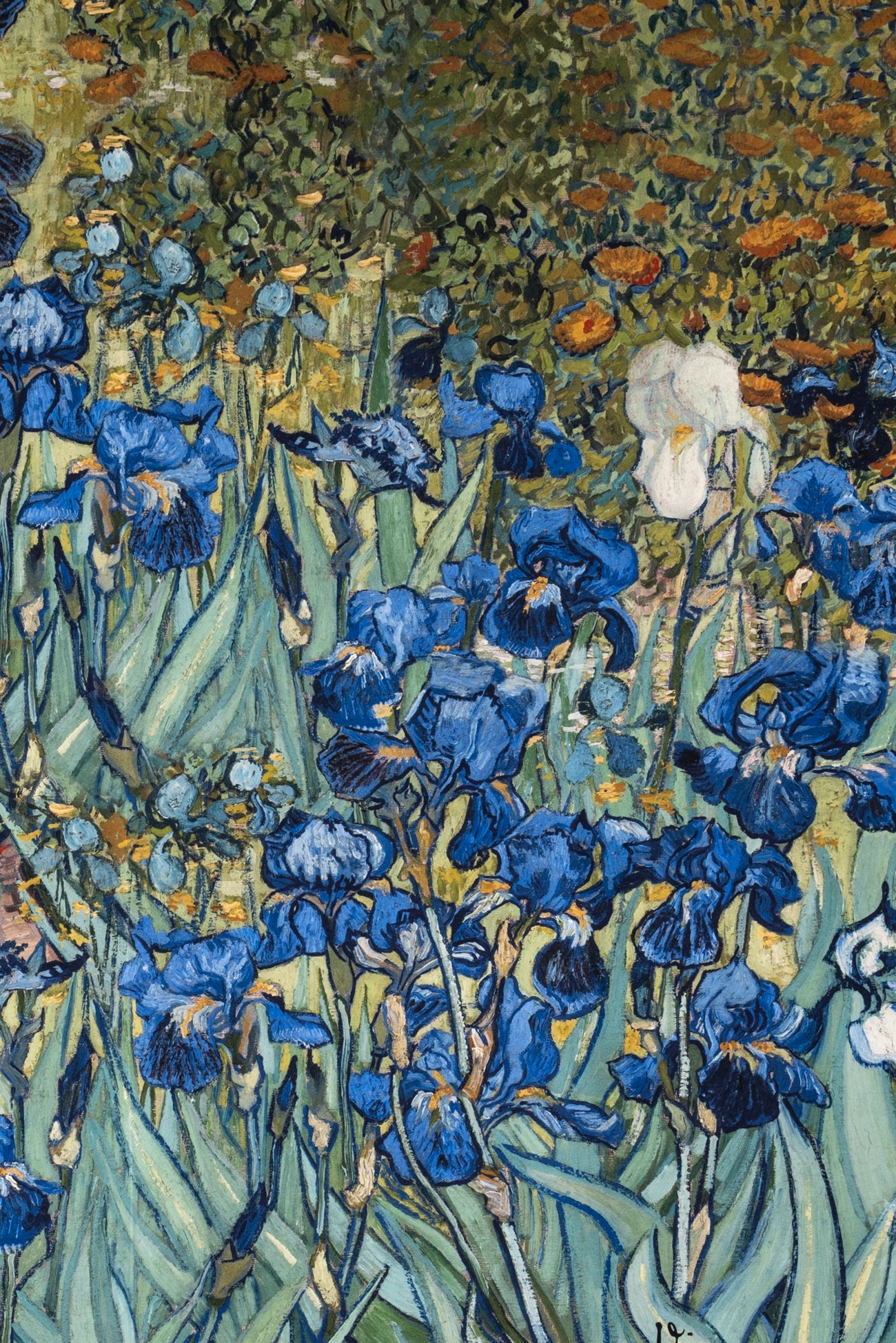 Vincent Dutch Brushed French Terry Cotton Knit Panel