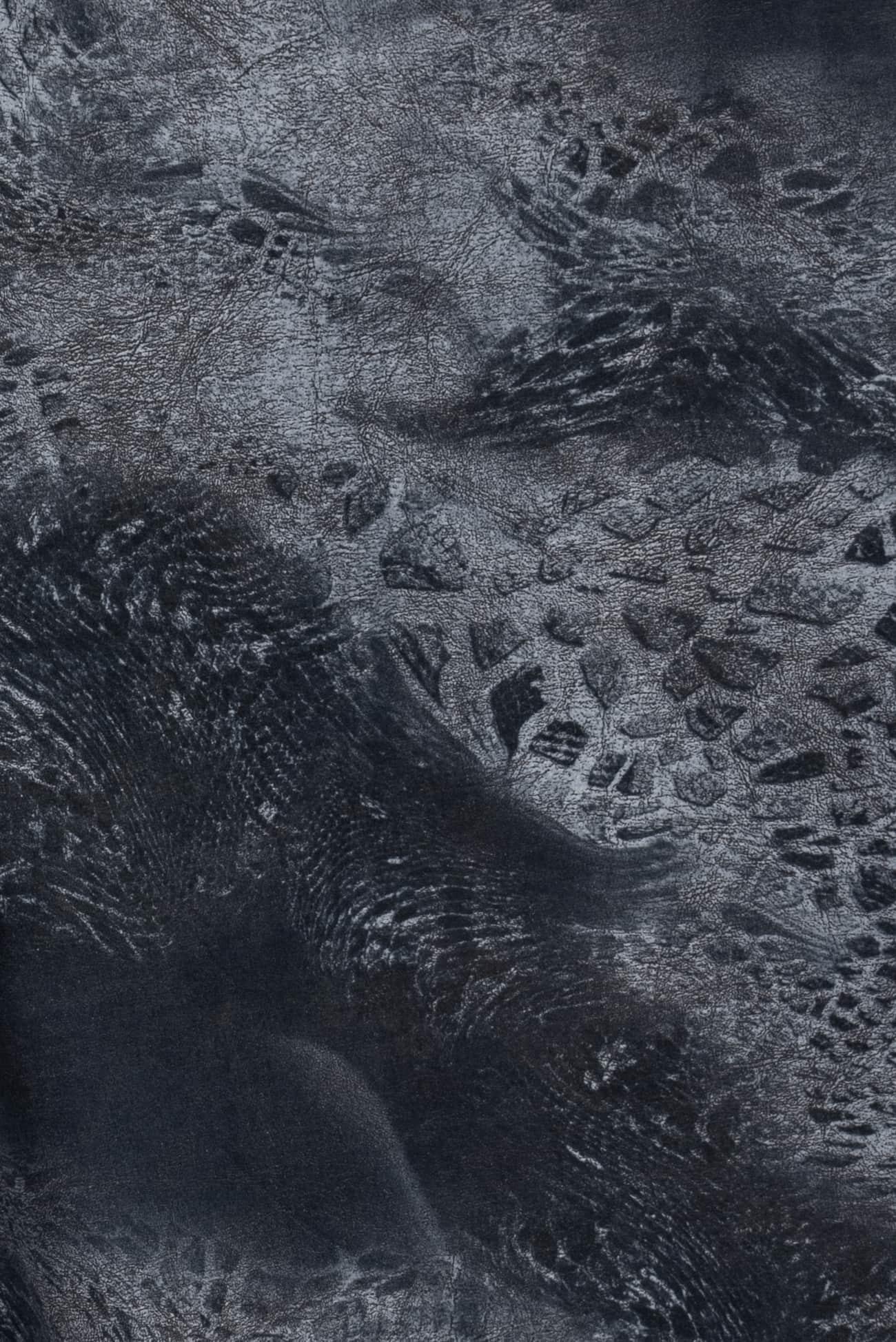 Cosmos Italian Stretch Cotton Woven - Marcy Tilton Fabrics