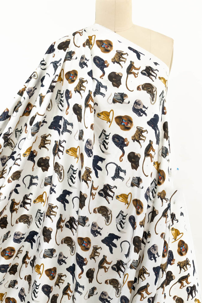 Monkey Business Italian Silk Woven - Marcy Tilton Fabrics