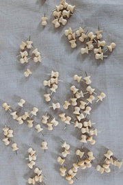 Natural Wooden Map Pins Bulk Box - Marcy Tilton Fabrics